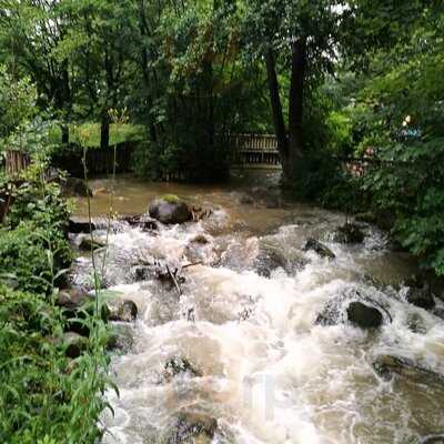 Biergarten Mühlenpark