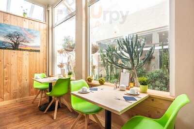 Tropenhaus Bansin - Das Frühstückscafé