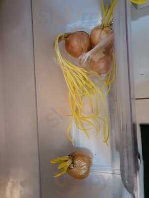 Grotesque Absinth-bar