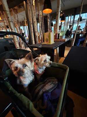 Hans Im GlÜck Burgergrill & Bar