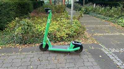 Pfefferkorn Ny Steakhouse