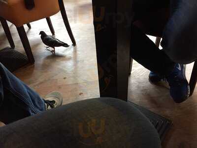 Cafe Extrablatt Oldenburg