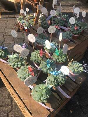 Von Koppen Restaurant Gut Ringelsbruch