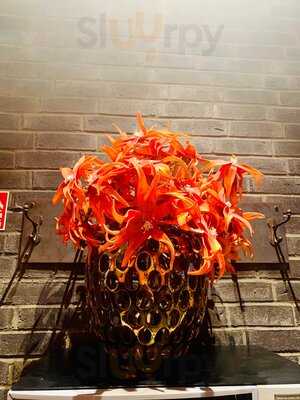 The Ash - Oberhausen