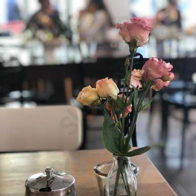 Eugens Bio Cafe Restaurant