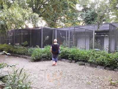 Restaurant Hanauer Bub