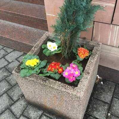 Stell Kocht In Ketterer's Braustüble