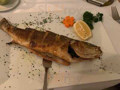 Paradiso Braunschweig