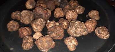 Trattoria Peperoncino