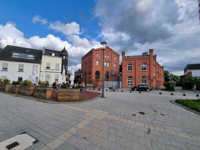 Hasenbande In Der Hensen Brauerei