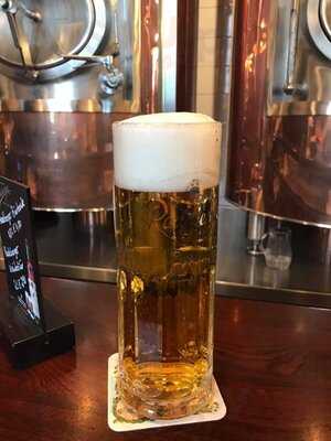 Radeberger Spezialausschank