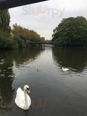 Stadtfischer Heilbronn