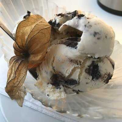 Stadtfischer Heilbronn