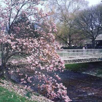 Hotel - Restaurant Athos