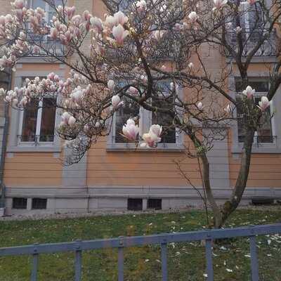 Hotel - Restaurant Athos