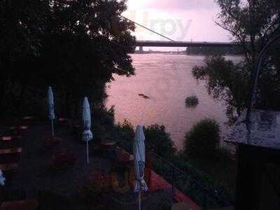 Homme D'or An Der Rheinbrücke