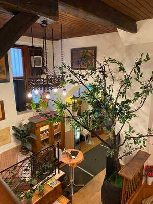 Augustinerkeller Mainz