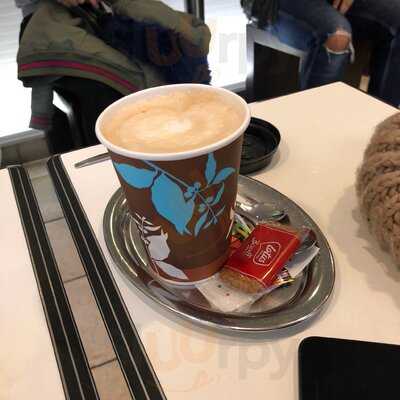 Il Gelato - Di Ferigo