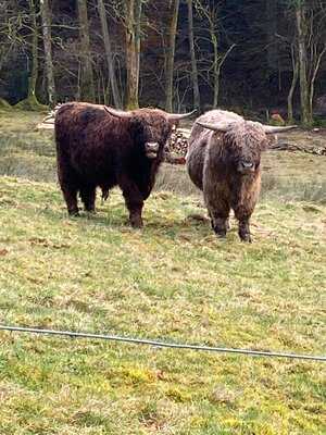 Waldgaststätte Buetthof