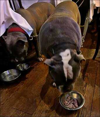 The Classic Western Steakhouse