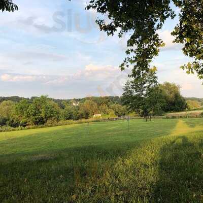 Frankys Im Wasserbahnhof Mintard