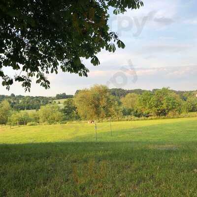 Frankys Im Wasserbahnhof Mintard