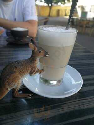 Crops - Vegane Küche