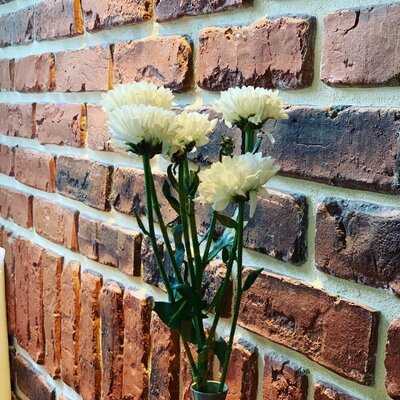 Spizz Restaurant Cafe Bar