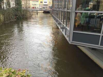 Cup & Cino Coffee House