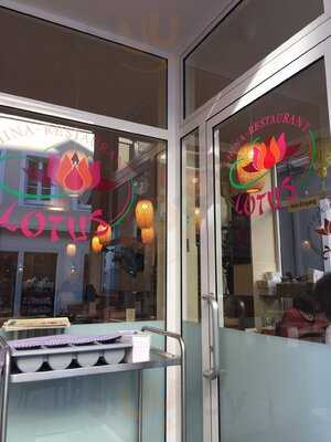 China Restaurant Lotus