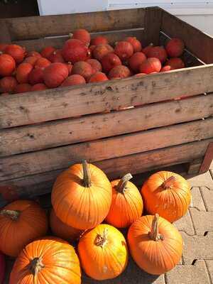 Obst Und Gemüsehof Wurbs