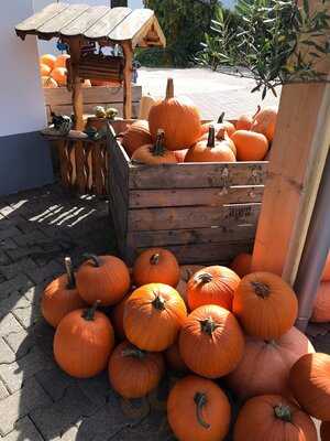 Obst Und Gemüsehof Wurbs