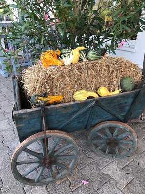 Obst Und Gemüsehof Wurbs