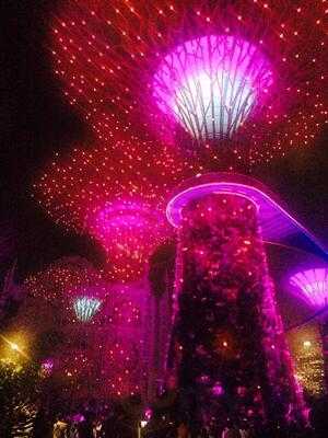 Singapur - Restaurant Changi