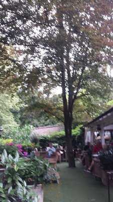 Waldklang Haxtergrund