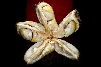 Feuerhut Dim-sum KrÄuter Restaurant