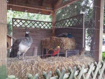 Zum Kalkofen Gartenwirtschaft