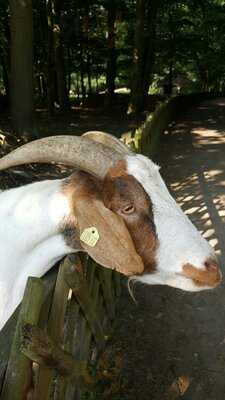 Bootshaus Im Bürgerpark