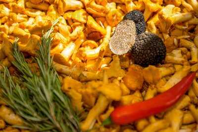 Schlossgastronomie Schloß Philippsruhe Hanau