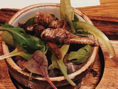 Mongo's Restaurant Düsseldorf