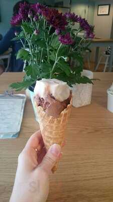 Toni's Handmade Organic Icecream