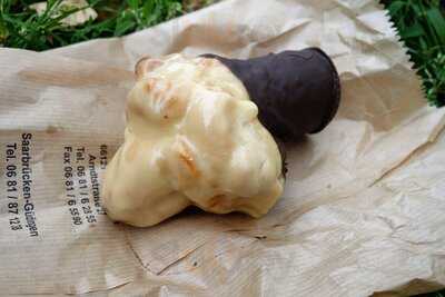 Cafe Steigleiter Gmbh