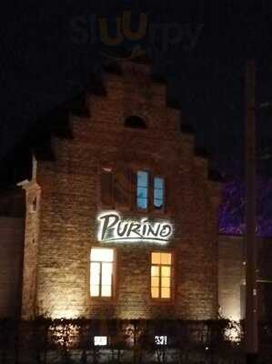 Purino