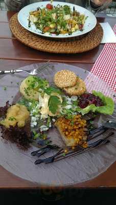 Bieberbau Im Erlensteg