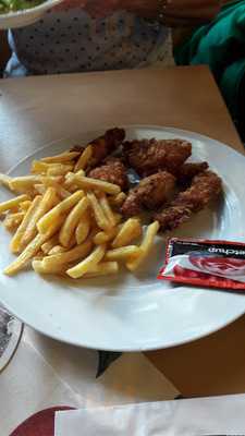 Bieberbau Im Erlensteg