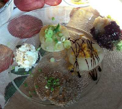 Bieberbau Im Erlensteg