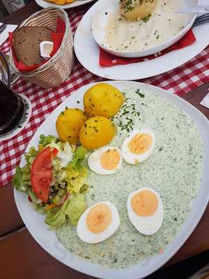 Bieberbau Im Erlensteg