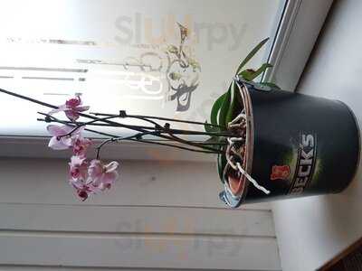 Tonfink Kulturcafe And Bar