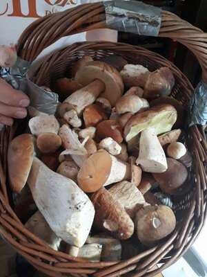 Osteria Saitta Am Nussbaum