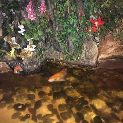 China-city Restaurant